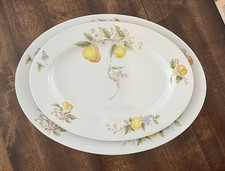 Two vintage Toscany Citron porcelain oval serving platters. picture