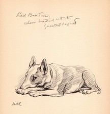 Vintage Lucy Dawson Bull Terrier Print Wall Art Decor 1940s Bull Terrier 6897f picture