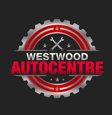 PROFESSIONAL CUSTOM LOGO DESIGN FOR BUSINESS + UNLIMITED REVISION picture