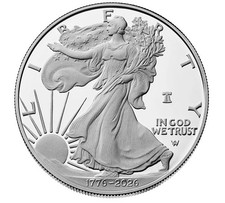 250th Anniversary American Eagle Coin 1776-2026 picture
