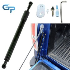 Tailgate Assist Shock Struts Bar Lift Support For 2004-2014 Ford F-150 DZ43200 picture