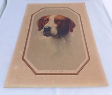 Antique Convex Dog Lithograph Morris Bendien White Red Irish Setter Litho 1920s picture