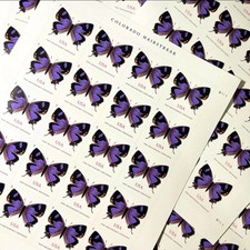 500 Butterfly Non-Machineable Stamps | UNUSED Authentic USPS First Class Stamps picture