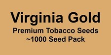 1000 Virginia Gold Tobacco Seeds ~ Heirloom Nicotiana Tabacum ~ Fast grow picture
