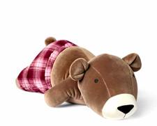 Target X Hollister Weighted Bear Boxer Shorts  NWT picture