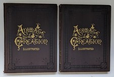 Animate Creation Illustrated 1898 Vol III Birds & VI Fish Reptiles 3 6 DAMAGE picture