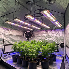 4000W Spider LED Grow Light Bar 4x4ft Coverage Full Spectrum Dimmable Commercial picture