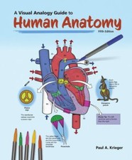 A Visual Analogy Guide to Human Anatomy by Paul A. Krieger picture