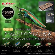 PSL The Diversity of Life on Earth Advance Jewel Beetle & Scarab w/ Stand Bandai picture