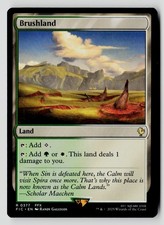 Brushland 377 R MTG FIC NM picture