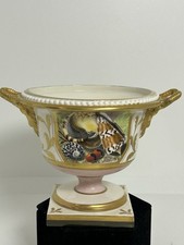 Rare Antique Conchological Campana /Urn Italy Barr Flight Barr Style picture