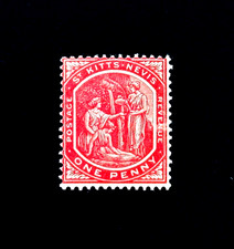 ST KITTS NEVIS Stamp - 1916 Medicinal Spring 1d Sn 14a MVLH   picture