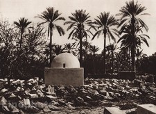 1924 Vintage NORTH AFRICA Tunisia Tripolis Cemetery Photo By LEHNERT & LANDROCK picture