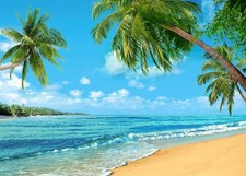 7x5FT Tropical Beach Palm Tree Backdrop Blue Sea Sky Summer Luau Party Decor picture