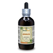 Angelica (Angelica Archangelica) Tincture, Dried Root Liquid Extract picture