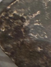 Rare Unidentified Large 22mm Ancient Greek Coin, 350-190BC picture