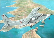 Valom 1/48 Britten-Norman BN-2T/2B Islander (Malta Air Force) picture
