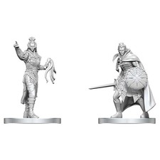 Dungeons & Dragons: Miniatures: Drow Elite Warrior & Drow Priestess of Lolth picture