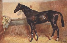 Racehorse Art Postcard Artist-Signed Horse Painting c.1910 Serie 423 Divided Bac picture
