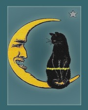 5x7 Vintage 1917 BLACK CAT SITTING ON MOON kitten Postcard art print picture picture