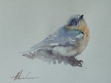 Great Tit, Birds, Watercolor artwork, Handmade, Original painting on paper picture