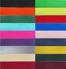 Heavy Duty Nylon Webbing Strapping - 1 Inch -- Many Colors & Lengths picture