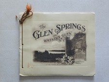 Glen Springs & Watkins Glen NY Antique 1920 Portfolio of Photos 12 Photogravures picture