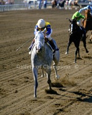Lady's Secret 1986 Breeders' Cup Distaff Photo 8