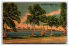 Miami FL Florida Skyline from Venetian Way Cityscape Linen Postcard Posted 1952 picture