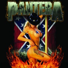 PANTERA Southern Girl BANNER HUGE 4X4 Ft Fabric Poster Tapestry Flag art picture
