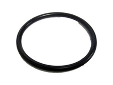 Zodiac Jandy Polaris 5-9-2001 592001 W3630011 Caretaker Valve Small O Ring Only picture