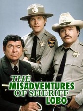 Misadventures of Sheriff Lobo ( 1979 -81 ) COMPLETE ON USB FLASH DRIVE picture