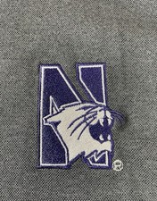 Champion Northwestern University Wildcats Polo Shirt Men's Large Golf Casual picture