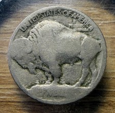 1913-P Type 1 Raised Mound Buffalo Nickel - No Date - Actual Coin Shown - INV26 picture