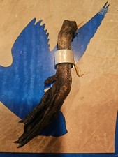 100% Federal UNREPORTED CANADA GOOSE WWW.REPORTBAND.GOV BIRD 1078 Duck Leg Band picture