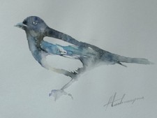 Magpie, Birds, Watercolor artwork, Handmade, Original painting on paper picture