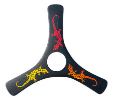 Spin Racer Carbon Boomerang picture