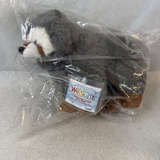 Ganz 2026 Webkinz Next Raccoon NEW WK00043 Dual 2 Adoption Codes Gen3 picture