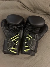 Protex Boxing Gloves EVERLAST 16 OUNCE WORN ONCE picture