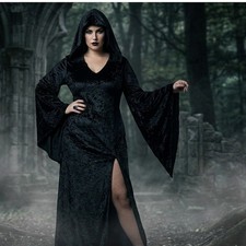 Enchantress La Encantadora Black Hooded Dress Costume Adult Plus Gothic Witch picture