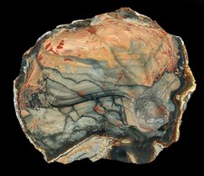 Grade AAA Multi Color XXL Blue Mountain Picture Jasper Specimen Polished picture