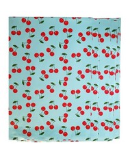 80 Qty Retro Preppy Cherries On Blue Polymailers (10