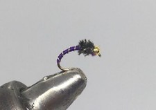 One Dozen (12) - Tungsten Beadhead Zebra Midge - Purple/Peacock - Nymph picture