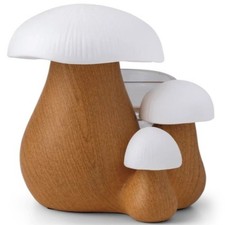 Scentsy Forest Forage Full Size Wax Warmer New In Box Mushroom Cottagecore Rare picture