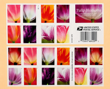 USPS 2023 Tulip Blossoms Forever Stamps MNH 5 Sheets 100 picture