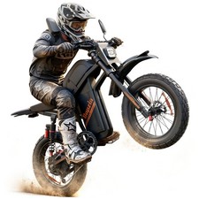 Bopzin Adult Electric Dirt Bike 3000W Peak 60V 35Ah 45MPH Off-Road Mountain Bike picture