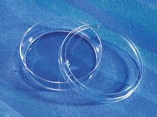 *Sterile* Falcon REF 353001 Tissue Culture Dish 35 x 10mm Easy Grip.  500/Case picture