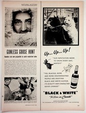 1950s Black & White Scotch Ad & Gunless Goose Hunt Vintage Magazine Page picture