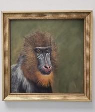 Original Painting 10 x 10 Mandrill Monkey Acrylic Canvas Board Framed picture