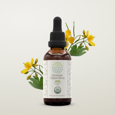 HerbEra Greater Celandine Alcohol-FREE Tincture (Chelidonium Majus) picture